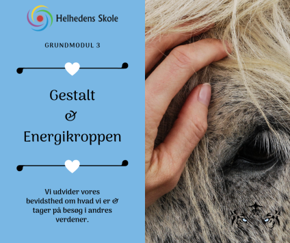 Hjertehvisker Uddannelse™